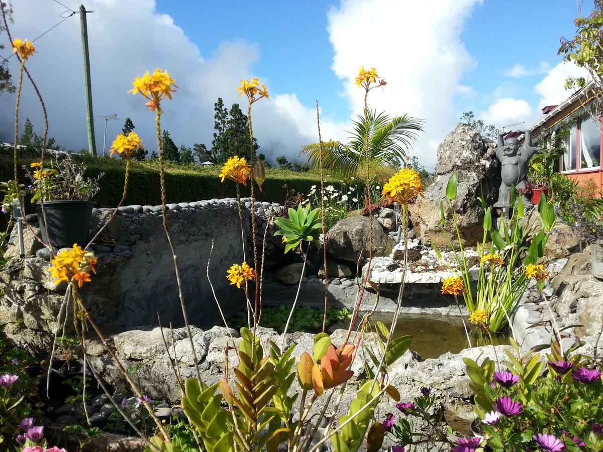 Le Clos Des Mimosas La Plaine des Palmistes Exteriér fotografie